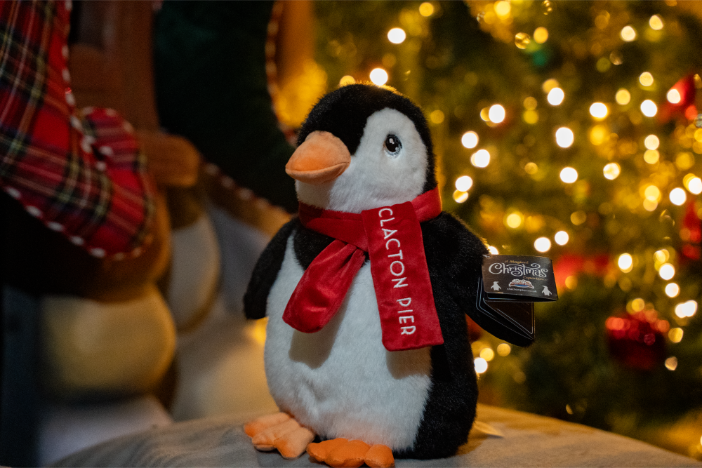 Don’t miss out on magical Christmas experience at pier